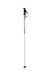 Dětské sjezdové hole Blizzard Race Junior Ski Poles