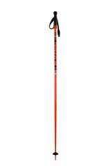 Sjezdové hole Blizzard Race Ski Poles