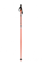 Sjezdové hole Blizzard Race Ski Poles