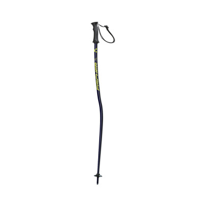 Fischer RC4 GS Jr.