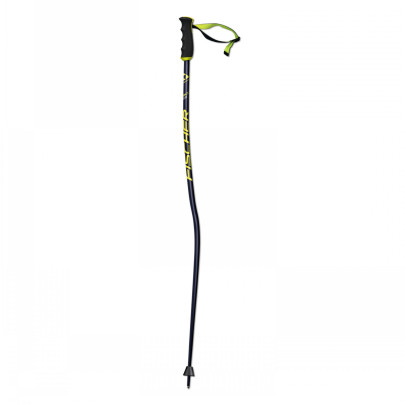 Fischer RC4 GS