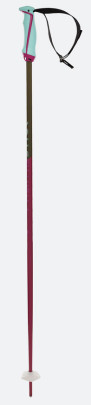sjezdové hole Völkl Phantastick W
