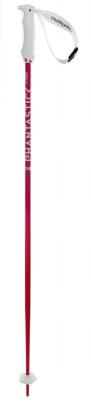 sjezdové hole Völkl Phantastick W
