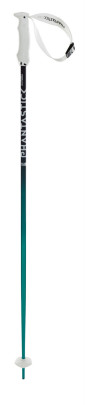 sjezdové hole Völkl Phantastick W