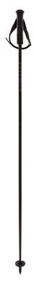 hole Völkl Speedstick Carbon
