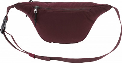 Ledvinka Nitro Hip Bag