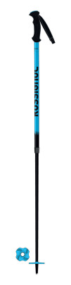 Rossignol Telescopic JR