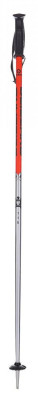 Lyžařské hole Blizzard Sport Ski Poles