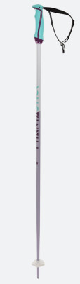 sjezdové hole Völkl Phantastick W