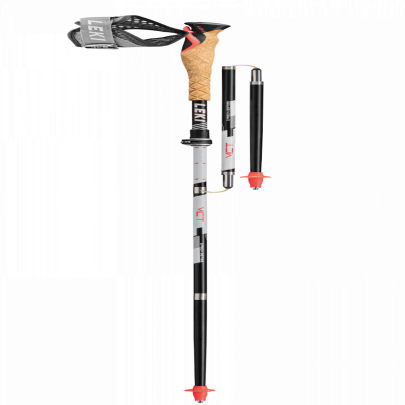 Leki MCT 12 Vario Carbon
