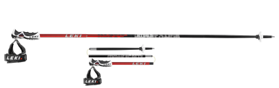 sjezdové hole Leki Alpine Stick
