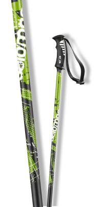 sjezdové hole Salomon Arctic zelená