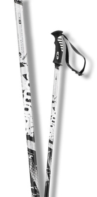 sjezdové hole Salomon Arctic stříbrná