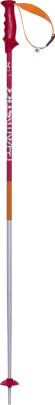 sjezdové hole Völkl Phantastick 2