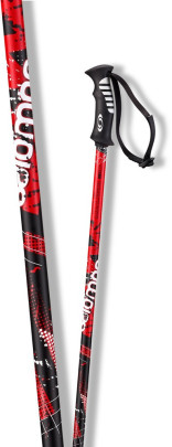 sjezdové hole Salomon Arctic černá