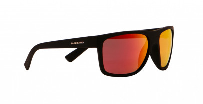 Blizzard POLSC603011