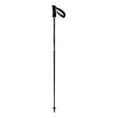 Fischer RC4 THE CURV CF