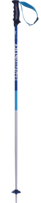 sjezdové hole Völkl Phantastick 2