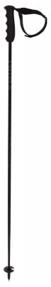 hole Völkl Speedstick Carbon