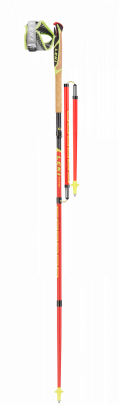 Leki Micro Trail Pro