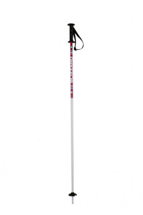 Dětské sjezdové hole Blizzard Race Junior Ski Poles