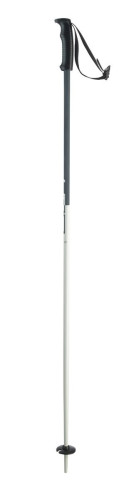 sjezdové hole Elan Speedrod