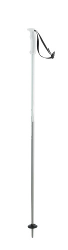 dámské sjezdové hole Elan White Magic