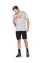 Mons Royale merino triko Icon T-Shirt Slant - šedá