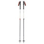 Skialpové hole Black Diamond Expedition 2 Ski Poles