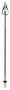 hole Voelkl Phantastick Kids