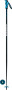 Rossignol Electra Carbon