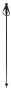 hole Völkl Speedstick Carbon