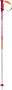 sjezdové hole Völkl Phantastick 2