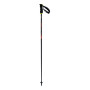 Fischer RC4 THE CURV CF
