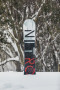 snowboard Nitro Team Gullwing
